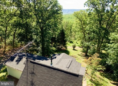 *Springfield Cabin* - Nestled along the hillside in scenic - photo 32