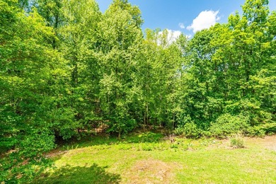 Welcome to 1132 Jamesview Dr, a turn-key oasis offering a rare - photo 33