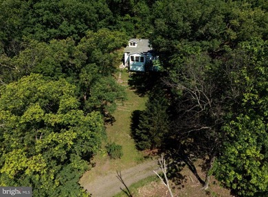 *Springfield Cabin* - Nestled along the hillside in scenic - photo 33