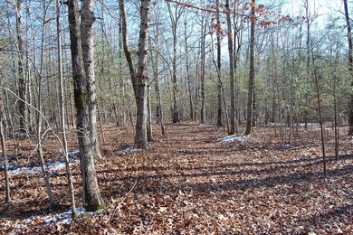 Located within a beautiful, gated community, high atop the - photo 34