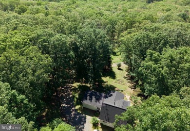 *Springfield Cabin* - Nestled along the hillside in scenic - photo 34