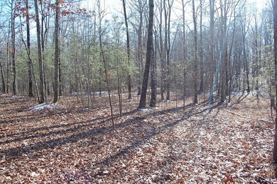 Located within a beautiful, gated community, high atop the - photo 35