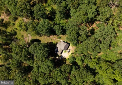 *Springfield Cabin* - Nestled along the hillside in scenic - photo 35