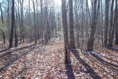 Located within a beautiful, gated community, high atop the - photo 36