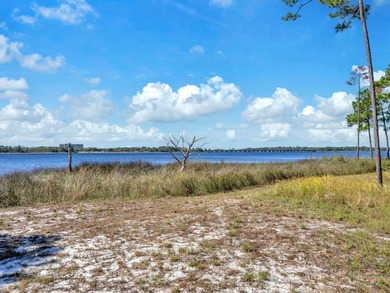 Welcome Home to your exquisite lakefront coastal oasis! Wild - photo 47