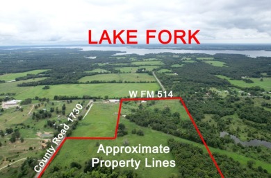 38+ Acres near Lake Fork with a mobile home in need of repairs - Lake Acreage Sale Pending in Yantis, Texas