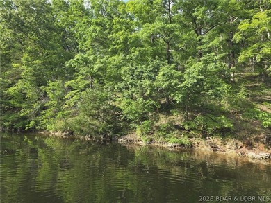 Rare opportunity to own 14 acres with an incredible 500 feet of - photo 19