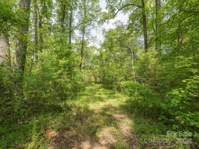 Lake Lot For Sale in Mooresboro, North Carolina