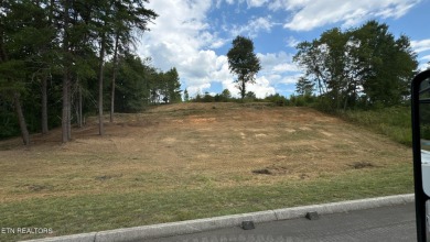 Lake Lot For Sale in Rockwood, Tennessee