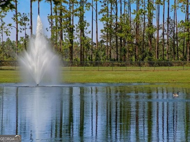 * Move-In Ready 4-Bedroom Home in Gated Osprey Cove - Your - photo 36