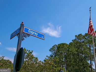* Move-In Ready 4-Bedroom Home in Gated Osprey Cove - Your - photo 40
