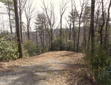 Lake Acreage For Sale in Butler, Tennessee