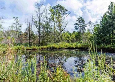 (private lake, pond, coastal) Home For Sale in Pensacola Florida