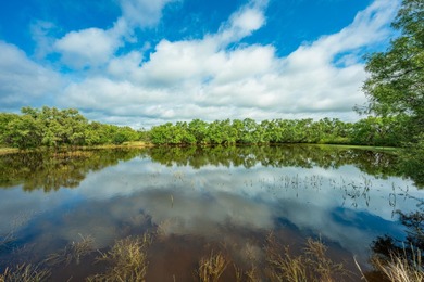 (private lake, pond, creek) Acreage For Sale in Llano Texas