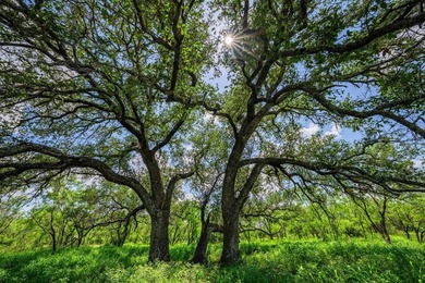 Just 13 miles southwest of Llano, this 840-acre Hill Country - photo 5