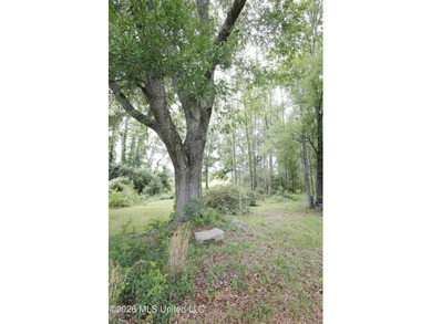 Nestled on five beautiful acres, this versatile property offers - photo 12