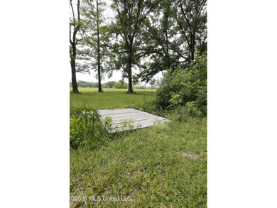 Nestled on five beautiful acres, this versatile property offers - photo 13