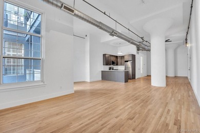 Loft of Your Dreams The Chocolate Factory Condominium is and - photo 4