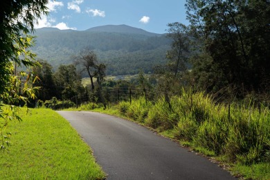 Set in one of Kula's premier Upcountry locations, this nearly 4 - photo 26
