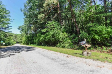 Nestled on two wooded lots just south of Waupaca, this 3BR, 2BA - photo 42