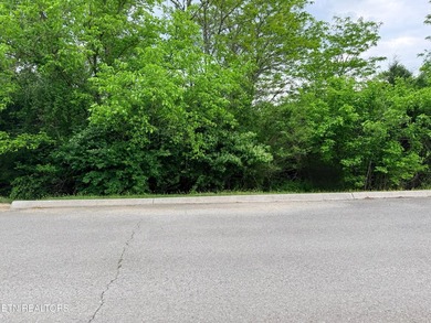 Located in the Woodlake Golf Community, this 0.49-acre wooded - photo 12