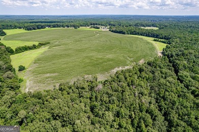 Don't miss this opportunity to build your dream home or develop - photo 13