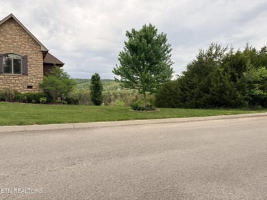 Located in the Woodlake Golf Community, this 0.49-acre wooded - photo 16