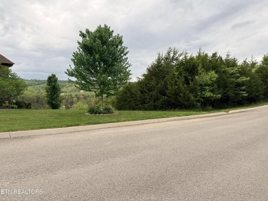 Located in the Woodlake Golf Community, this 0.49-acre wooded - photo 17