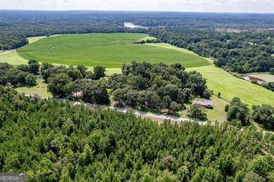 Don't miss this opportunity to build your dream home or develop - photo 18
