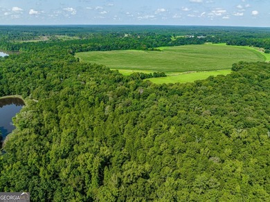 Don't miss this opportunity to build your dream home or develop - photo 21