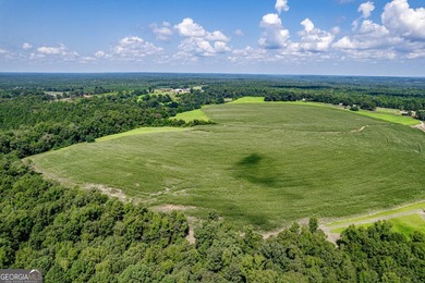 Don't miss this opportunity to build your dream home or develop - photo 24