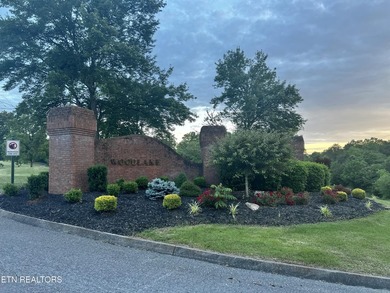 Located in the Woodlake Golf Community, this 0.49-acre wooded - photo 25