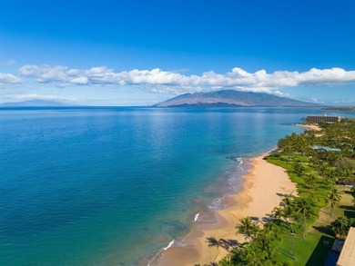 Motivated Seller - Unbeatable Wailea Value Steps from Keawakapu - photo 36