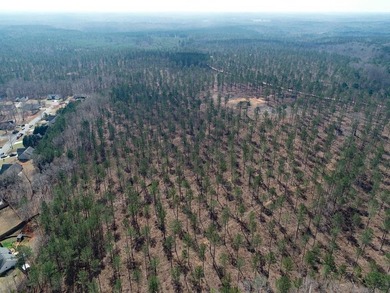 (private lake, pond, coastal) Acreage For Sale in Covington Georgia