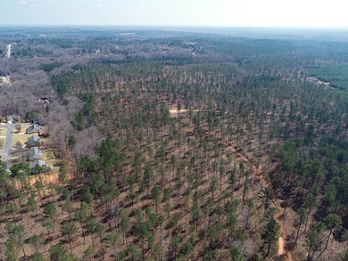 WILL DIVIDE INTO 2 TRACTS, 359 acres and 226 acres. Large wooded - photo 2