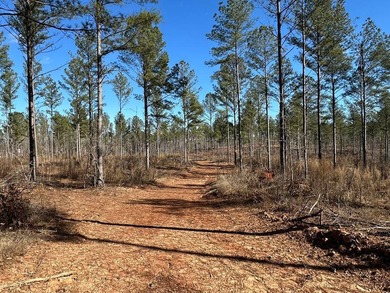 WILL DIVIDE INTO 2 TRACTS, 359 acres and 226 acres. Large wooded - photo 3