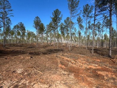 WILL DIVIDE INTO 2 TRACTS, 359 acres and 226 acres. Large wooded - photo 4