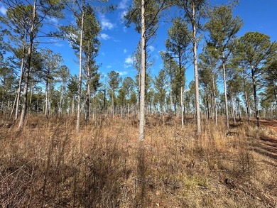 WILL DIVIDE INTO 2 TRACTS, 359 acres and 226 acres. Large wooded - photo 5