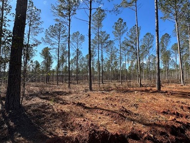 WILL DIVIDE INTO 2 TRACTS, 359 acres and 226 acres. Large wooded - photo 6