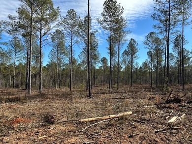 WILL DIVIDE INTO 2 TRACTS, 359 acres and 226 acres. Large wooded - photo 7
