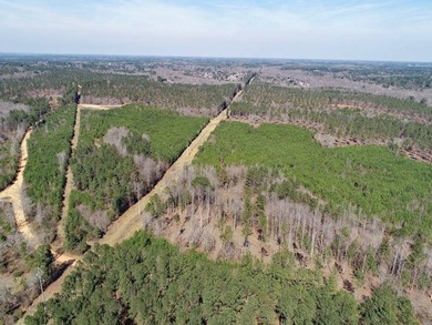 WILL DIVIDE INTO 2 TRACTS, 359 acres and 226 acres. Large wooded - photo 8