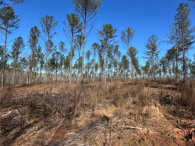 WILL DIVIDE INTO 2 TRACTS, 359 acres and 226 acres. Large wooded - photo 9