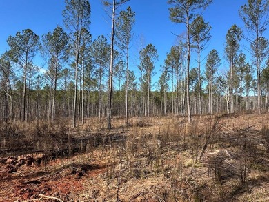 WILL DIVIDE INTO 2 TRACTS, 359 acres and 226 acres. Large wooded - photo 10