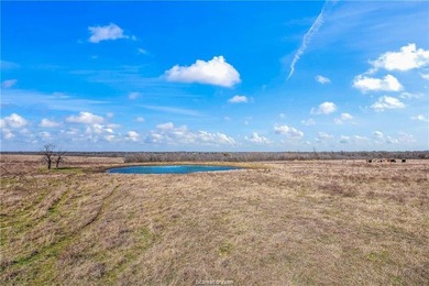 25% of mineral rights to convey!!! Nestled in peaceful Mart, TX - photo 11
