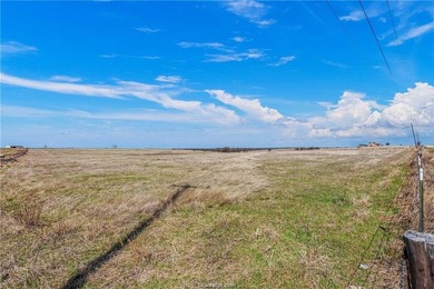 25% of mineral rights to convey!!! Nestled in peaceful Mart, TX - photo 12