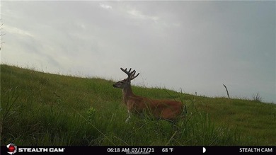 25% of mineral rights to convey!!! Nestled in peaceful Mart, TX - photo 15