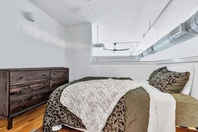 LOFT OF A LIFETIME Experience elevated loft living in this - photo 1