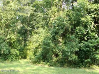 Lake Lot For Sale in Middleburg, Florida