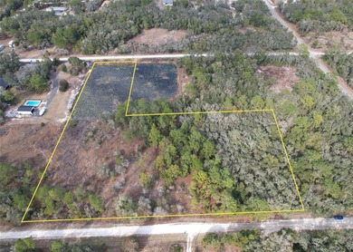 Withlacoochee River Acreage For Sale in Webster Florida