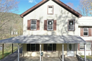 Beaverkill River Home For Sale in Colchester New York